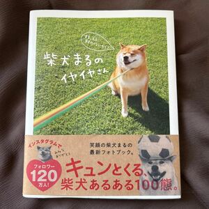 帯付き　キュンとくる柴犬あるある１００態　笑顔の写真集　大人気　柴犬まるのイヤイヤさん／小野慎二郎(著者) 