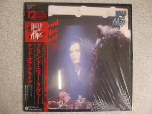 12inch盤 Dead or Alive　デッド・オア・アライヴ/ブランド・ニュー・ラヴァー帯付