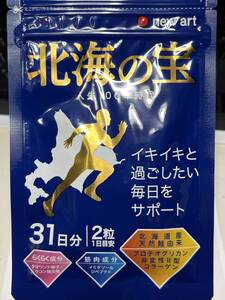 ☆最新 即決 送料無料 北海の宝　31日分 ニューアート 2025年2月21日☆7638