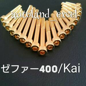 即決★ゼファー400/改★金メッキエンジンカバーボルト！