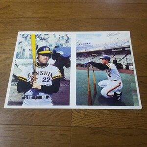 昭和 1976年？ 山勝？ 野球カード ビッグサイズ ブロマイド 阪神 田淵 巨人 高田 27×38.8センチ プライスガイド未掲載？(検)メンコ 