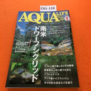 C01-110 月刊アクアライフ 2005/9 南米ドワーフシクリッド・ イワトコナマズの採集と飼育・アジア産ナイフフィッシュ