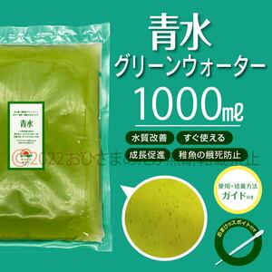 特濃縮【青水　グリーンウォーター増量中　1000ml】メダカ　めだか　金魚　熱帯魚　ミジンコ　ゾウリムシ　針子にどうぞ　スポイト付き