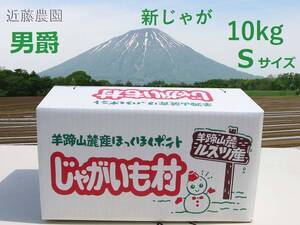 (近藤農園直送) 北海道羊蹄山麓産【男爵】正品 Sサイズ 10kg