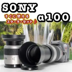 SONY α100 ❤️超望遠300mm ダブルレンズ❤️ ソニー 一眼レフカメラ