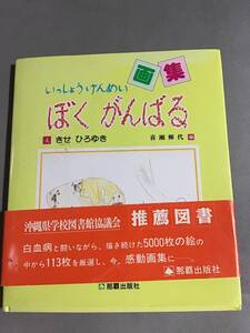 推薦図書 画集 いっしょうけんめい ぼく がんばる きせ ひろゆき 沖縄 那覇出版社 恐竜 ヒーロー 魚 の絵 白血病と闘い夢描いた ５歳