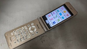 D5086 docomo SIMフリー P-smart P-01J Panasonic 4Gガラホ 簡易確認＆簡易清掃＆初期化OK 判定○ WebにてSIMロック解除手続受付済