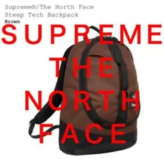 22fw Supreme The North Face Backpack 茶