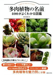 「多肉植物の名前」400がよくわかる図鑑/飯島健太郎