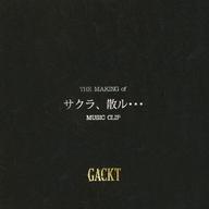 中古男性写真集 GACKT CDジャケットサイズ PVオフショットブックレット