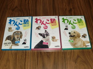 ◇新品未開封！DVD 犬と飼い主のための「わんこ塾」全3巻セット／高倉はるか