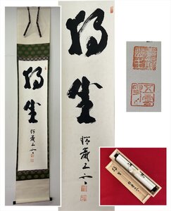 【千寿】五雲 独坐 一行書 紙本 d749◆箱/茶道具/古美術/時代品/掛軸/100025531