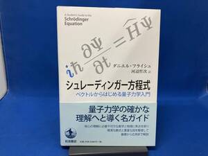 初版 シュレーディンガー方程式 ダニエル・フライシュ