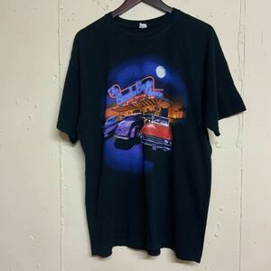 THE BEACH BOYS 2013年ツアーTシャツバンドTシャツバンTザビーチボーイズアンビルメンズXLanvil