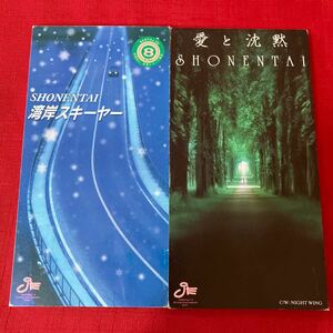 少年隊 SHONENTAI 愛と沈黙 / NIGHT WING / 湾岸スキーヤー 8cm CD セット まとめ売り / 90年代