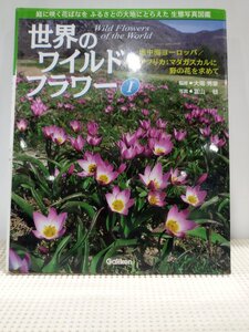 野の花原種 花図鑑　世界のワイルドフラワー1 地中海ヨーロッパ/アフリカ・マダガスカル　学習研究社【ac06f】