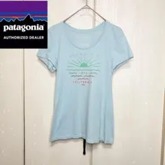 【美品】 Patagonia organic cotton Tee