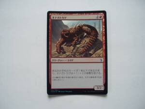 バイン　MTG オナガトカゲ/Thresher Lizard foil 日本語1枚