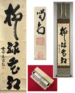 【千寿】大徳寺派 龍源院 細合喝堂 柳緑花紅 自筆 一行書 紙本 d988◆在銘 箱 茶掛 掛軸 掛物 茶道具 同梱可 条件有 100027930　