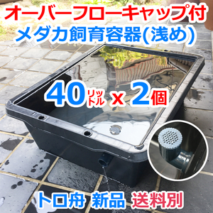 メダカ飼育ケース【40㍑トロ舟 2個 オーバーフローキャップ付】送料別 めだか飼育容器 台風対策 金魚 水草 産卵 ビオトープ【五色アクア】