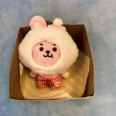 BTS BT21ポップコーン　COOKY