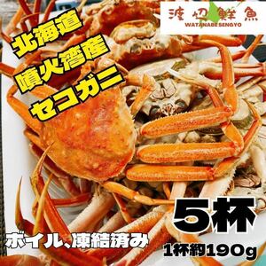 1円〜　特別！大人気のセコガニ ズワイガニ　セコガニ5杯　北海道産 ボイル 蟹カニ 
