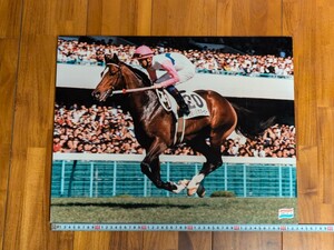 トウカイテイオー 第58回日本優駿　ダービー　パネル　JRA　競馬