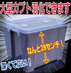 特大ケース付き☆プレミアム発酵マット20L入り☆カブトムシ幼虫を入れるだけ☆便利！大型成虫羽化できます☆コバエ防止特殊フィルター付き