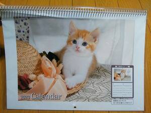 2023年 かわいい 猫ちゃん ねこ 子猫 ネコ 壁掛けカレンダー 見開き A3サイズ 新品