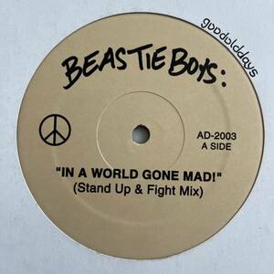 Beastie Boys - In A World Gone Mad! (Stand Up Mix) (自主プレス)