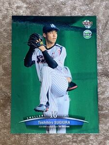 2014 BBM 1st ◆ 杉浦稔大 ◆ 東京ヤクルトスワローズ ルーキーカード 北海道日本ハムファイターズ