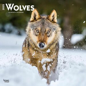 ★新品★送料無料★ オオカミ 2025 カレンダー★ Wolves 狼