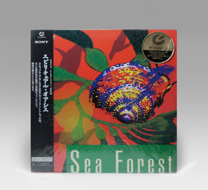 ● MUSE Hi-Vision LD Sea Forest ケルプの海 00MW-0013 Sony 1995 ハイビジョンレーザーディスク HD