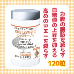 山田養蜂場 脂肪と血糖値のためのサプリ 120粒 肥満気味の方のお腹の脂肪と高めのBMIを減らす 機能性表示食品 茶カテキン 桑の葉