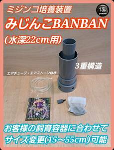 【倭めだか】 “みじんこBANBAN” タマミジンコ オオミジンコ タイリクミジンコ 培養 装置 エアリフト式 繁殖 増殖 メダカ稚魚 生餌 