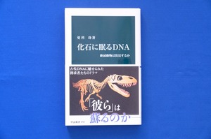 新書「化石に眠るＤＮＡ 絶滅動物は復活するか」更科功著 中央公論新社 恐竜 マンモス ジュラシックパーク 琥珀 古代 古本