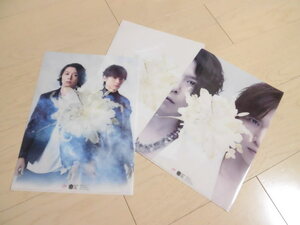 KinKi Kids★『道は手ずから夢の花』クリアファイル 3種 3枚セット★初回/通常★非売品★先着購入者特典★堂本光一/堂本剛★グッズ