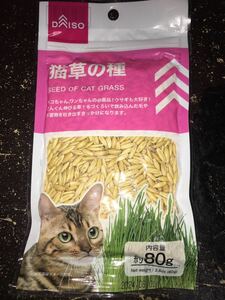 猫草の種