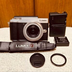 ショット数 657回 Panasonic LUMIX DC-GX7MK3 パナソニック ミラーレス一眼カメラ ルミックス