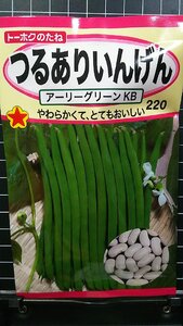 ３袋セット つるあり いんげん アーリーグリーンKB インゲン 種 郵便は送料無料