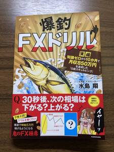 爆釣FXドリル 【実録】知識ゼロから10か月で月収850万円を達成した「S級スキャルピング」