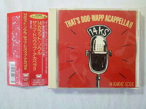 14 KARAT SOUL 14カラット・ソウル / THAT’S DOO-WAPP ACAPPELLA ザッツ・ドゥワップ・アカペラ!! 19曲 帯付！