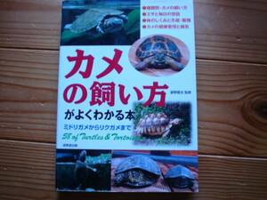 ＄カメの飼い方がよくわかる本　　成美堂出版