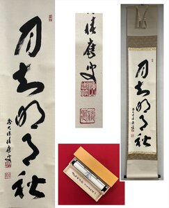 【千寿】大徳寺派 宝林寺 福本積應 月知明月秋 自筆 一行書 紙本 d1016◆在銘 箱 茶掛 掛軸 掛物 茶道具 　