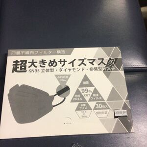 山35超大きめサイズKN95立体型グレー30枚入り個別包装