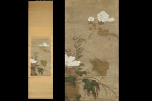 5891■ 古画 花図 中国画 明時代 掛軸