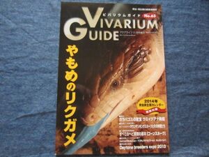 ビバリウムガイド No.63　ヤモメのリクガメ　 VIVARIUM GUIDE 爬虫類 両生類