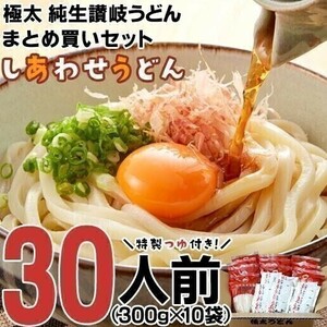 送料無料 訳あり 本場讃岐純生うどん 30人前 つゆ付き まとめ買い しあわせ製麺 