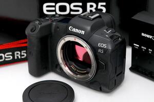 並品｜キヤノン EOS R5 ボディ CA01-M2995-2S4