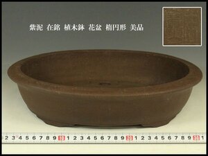 【銀閣】紫泥 在銘 植木鉢 花盆 34.5cmx28.5cm 楕円形 美品 旧家蔵出 送料無料(AZ798)